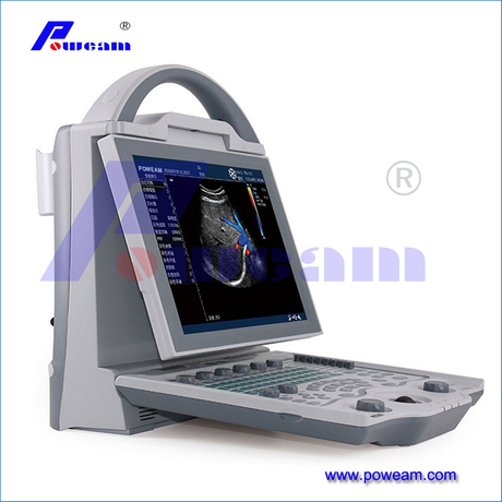 Portátil Physics 3d 4D Eco Ultrasonido Color Doppler