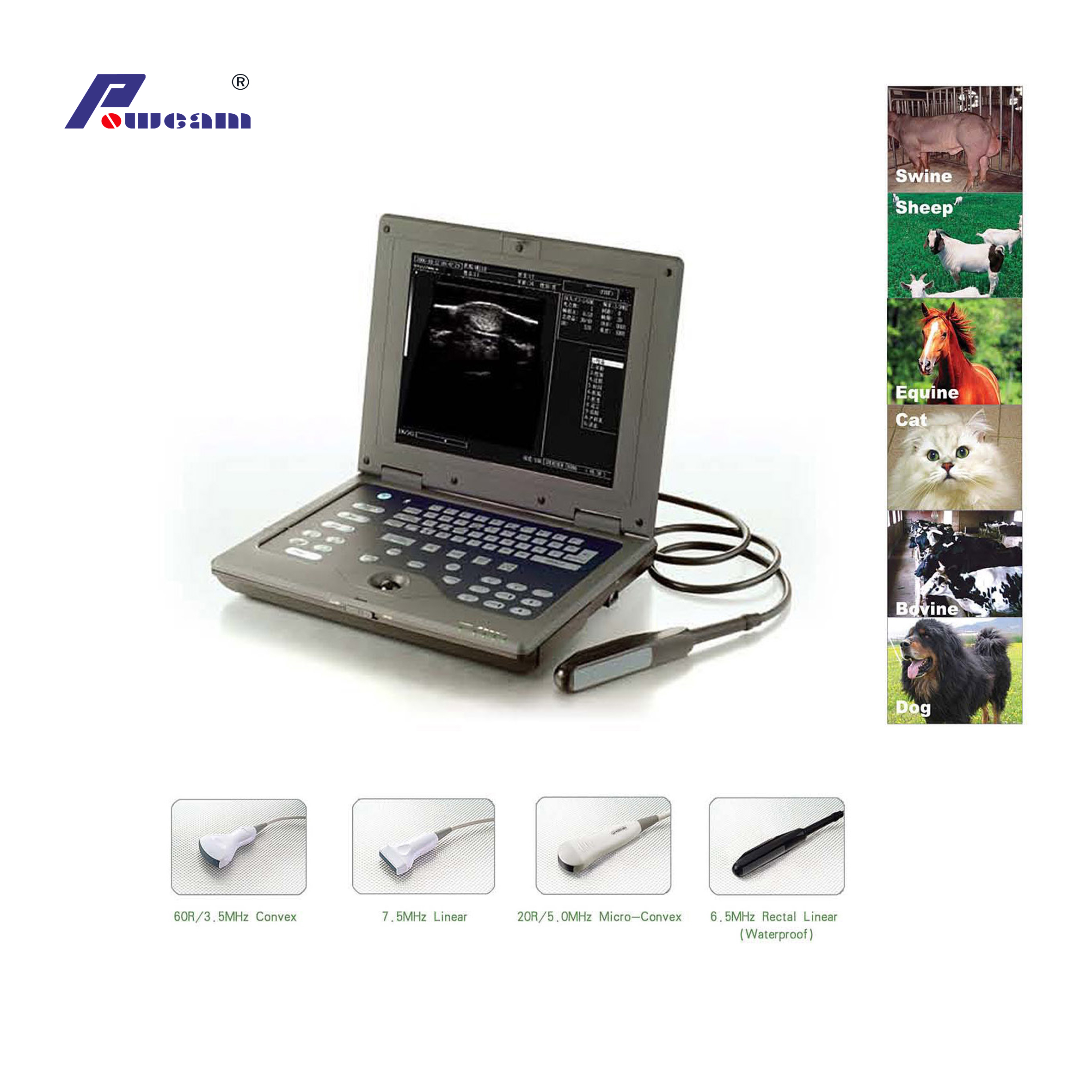 Médico Portátil CE ISO Laptop Full-Digital Veterinario Escáner de ultrasonido