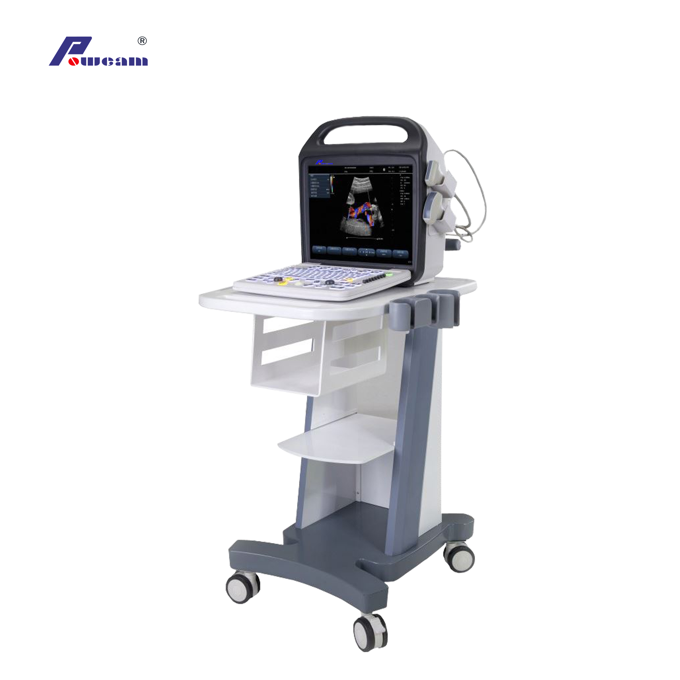 Escáner de ultrasonido Doppler de color ultrasonido portátil (C10)