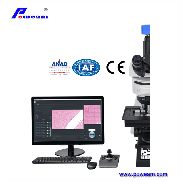Microscopio biológico de pantalla digital LCD profesional con software