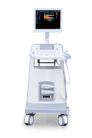 D30S Color Doppler con sonda convexa, transvagial y lineal