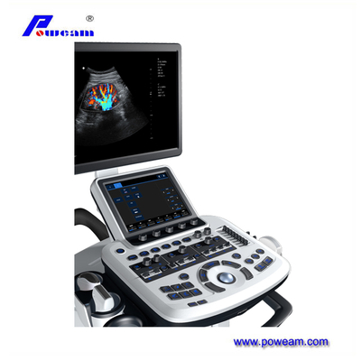 3D 4D Full Digital Trolley Color Doppler ultrasonido escáner