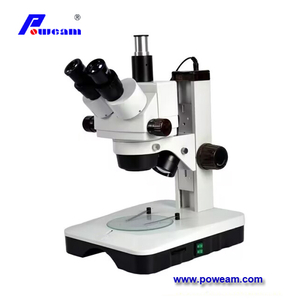 Microscopio digital