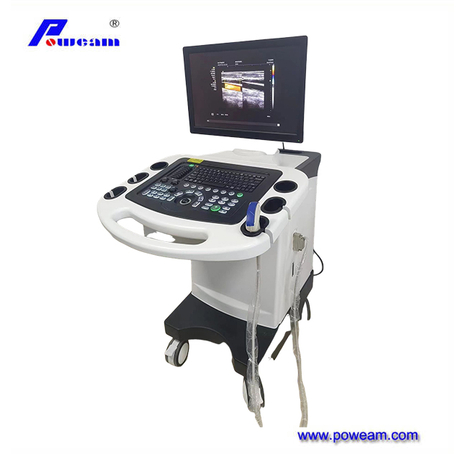  Ultrasonido Doppler de color física